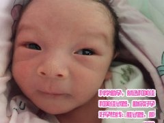 染色体易位代妈成功植入两个健康胚胎